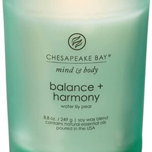 Chesapeake Bay Candle Scented Candle